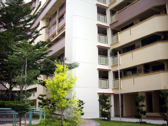 Jurong West Street 52 thumbnail photo